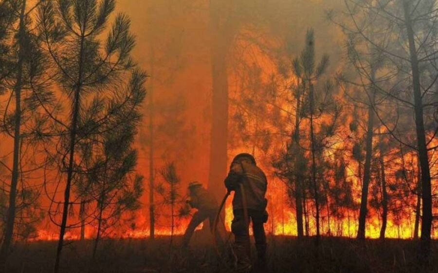 Pantanal: Governo de MS decreta estado de emergência ambiental por causa de condições climáticas 