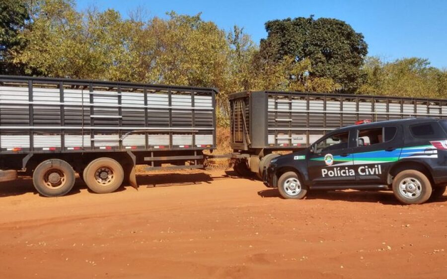 Delegacias cumprem mandados contra  quadrilha especializada em furto de gado em MS