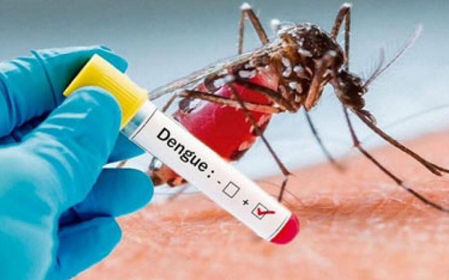 Pessoas que tiveram dengue são  propensas a ter sintomas da covid-19