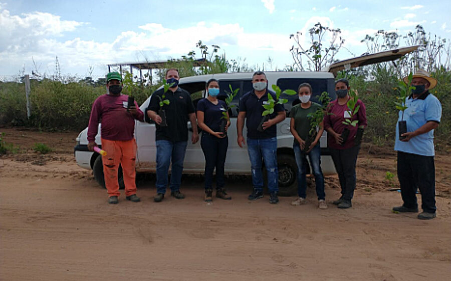 Em comemoração ao dia do Meio Ambiente, 200 mudas de árvores nativas são plantadas em Coxim