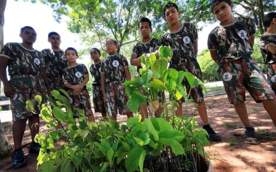 PMA troca mudas por alimentos para lembrar Dia Internacional do Meio Ambiente