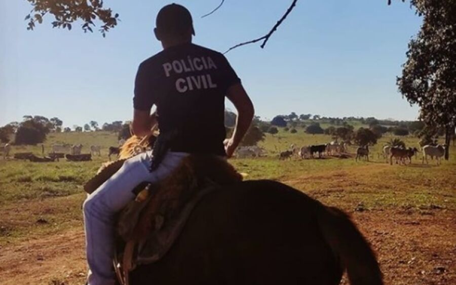 Polícia Civil realiza operação para coibir furto de gado na região Norte do Estado
