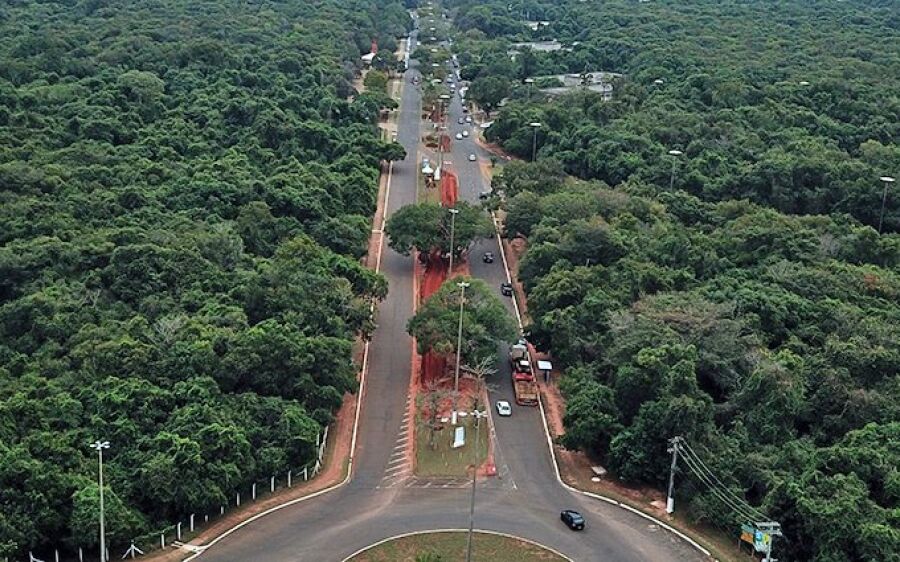 Com obra em andamento, revitalização do Parque dos Poderes terá foco na preservação da vegetação