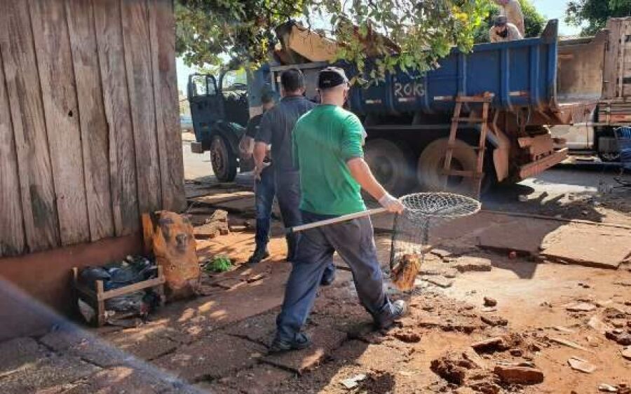 Presas, irmãs viviam em casa com 189 animais, infestação de ratos e baratas 