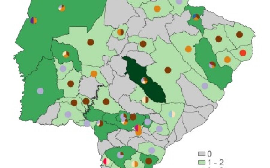 Mapeamento genômico revela pelo menos 14 variantes da Covid-19 em Mato Grosso do Sul