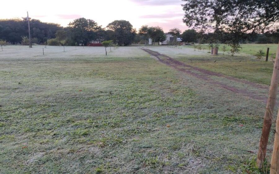 Com geada, Dourados tem madrugada mais fria do ano