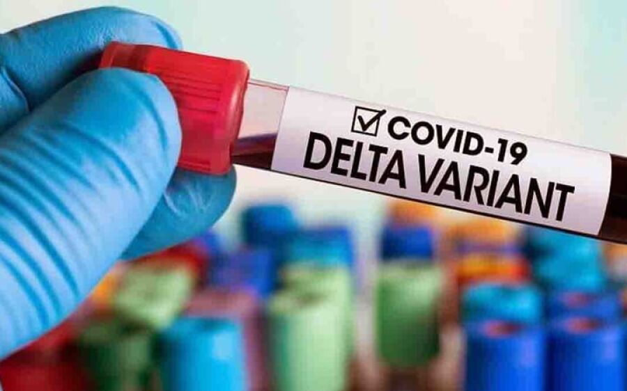 MS deve ter queda de casos de covid em julho se conseguir blindar variante indiana