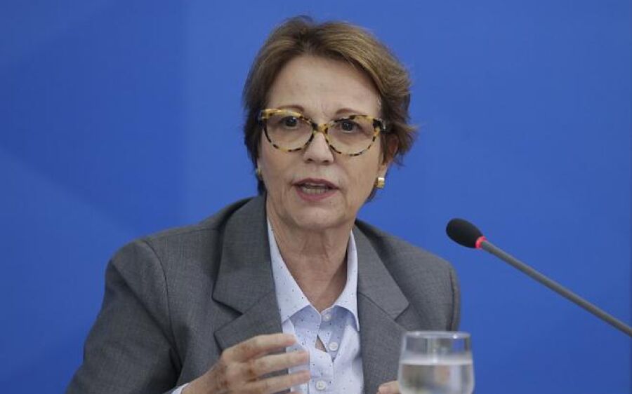 Eleições 2022: Tereza Cristina diz que prefere ser candidata ao Senado