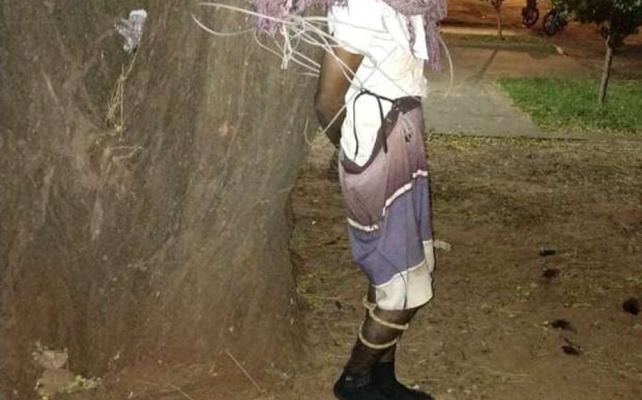 Bandido tenta invadir casa e acaba amarrado em árvore na Piratininga