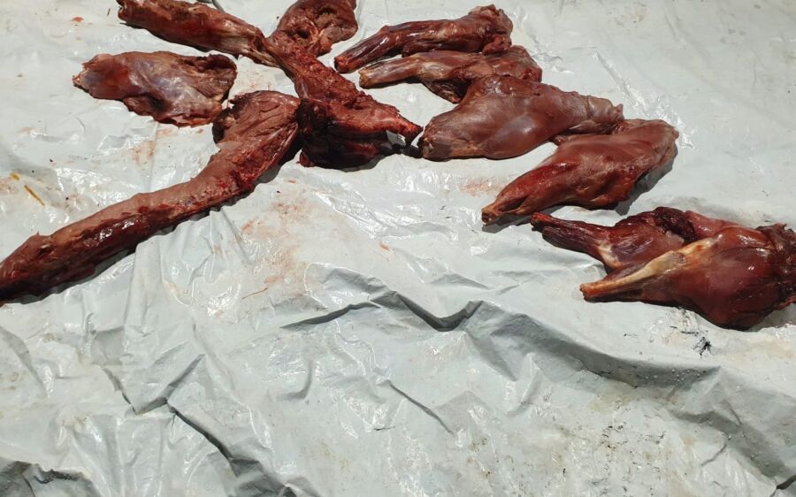 Homem é preso pela PMA por transportar 11kg de carne de animal silvestre em Coxim