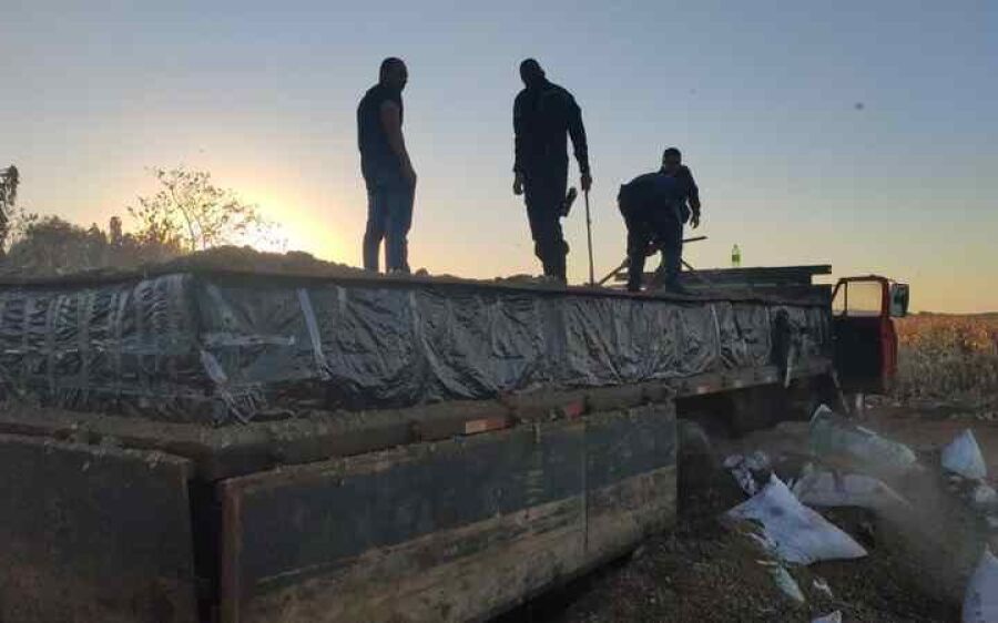 Homem que agredia esposa na fronteira é preso com mais de 8 toneladas de maconha