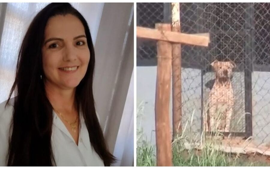 Mulher que morreu atacada por pitbulls ao visitar namorado tinha contato com cães, diz filho