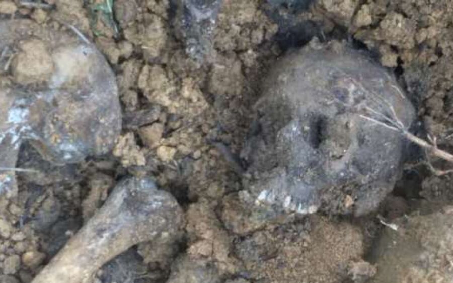 Ao roçar terreno para plantar horta, homem encontra ossada