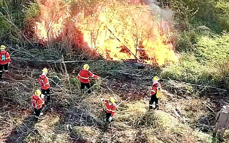 Ações de prevenção, monitoramento e pronta atuação dos bombeiros reduzem em 81% focos de calor 