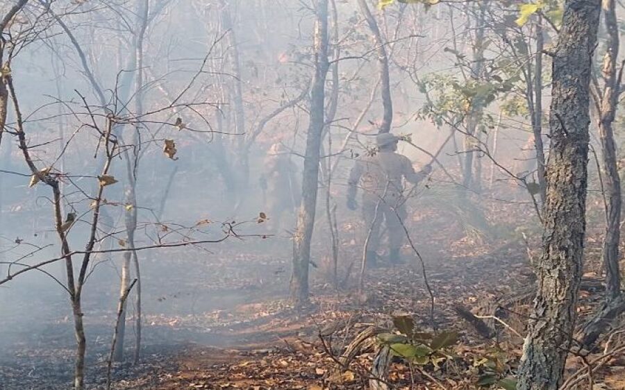‘Queima controlada’ no  Pantanal está suspensa  até 30 de outubro
