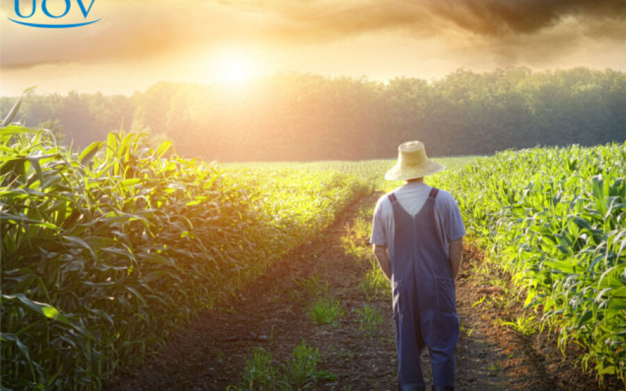 No dia do Agricultor Prefeitura de Coxim destaca ações em prol do campo