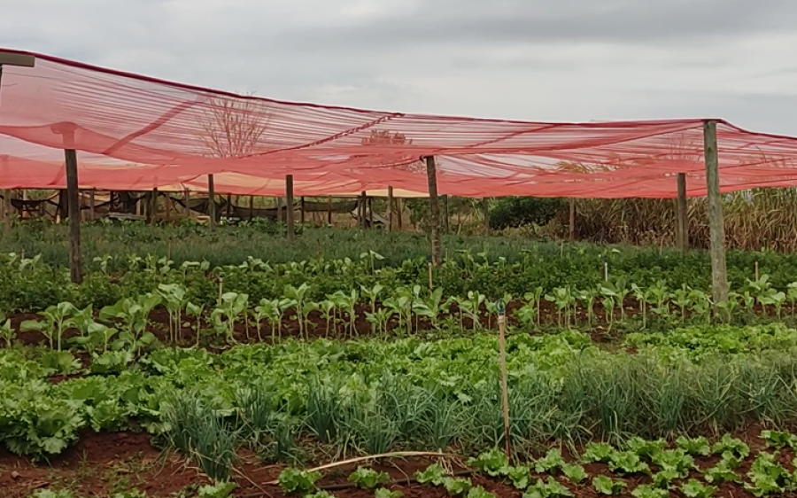 No dia do Agricultor Prefeitura de Coxim destaca ações em prol do campo