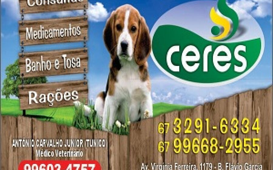 Capataz morre em hospital e suspeita é que tenha sido derrubado por coice de vaca em fazenda de MS
