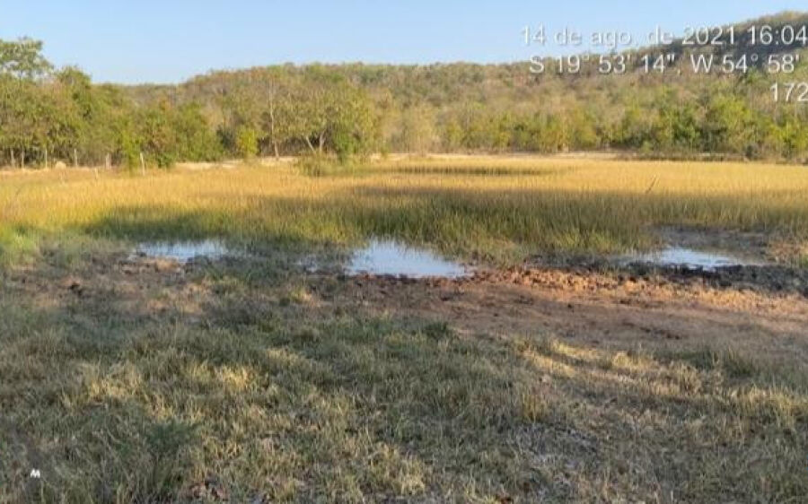 PMA autua assentado por manter gado em área protegida de reserva legal coletiva de assentamento