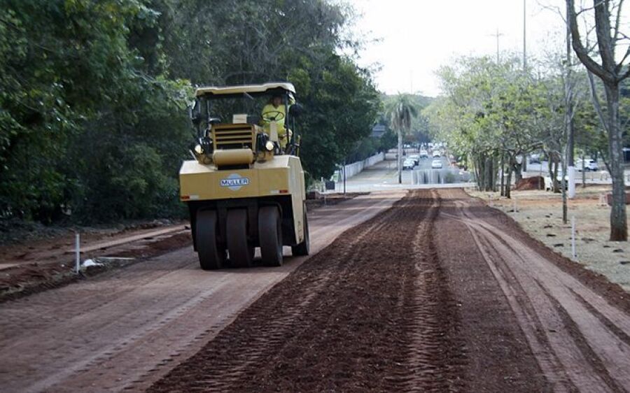 Além das obras, “Amigos do Parque” devem ficar atentos aos animais por causa do incêndio