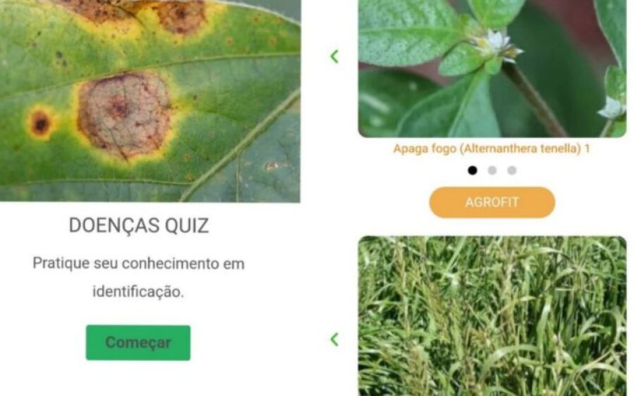 Alunos da UEMS desenvolvem portal voltado para ajudar produtores rurais