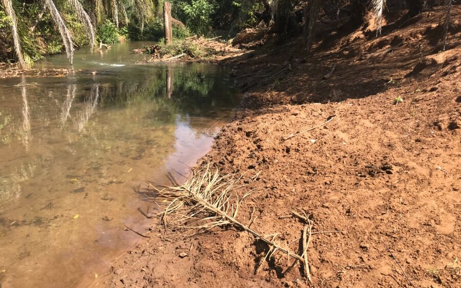 PMA autua infrator em R$ 5 mil por degradação de matas ciliares de córrego em São Gabriel