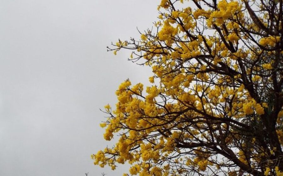Frente fria traz esperança de chuva e refresco nas temperaturas a partir do meio da semana