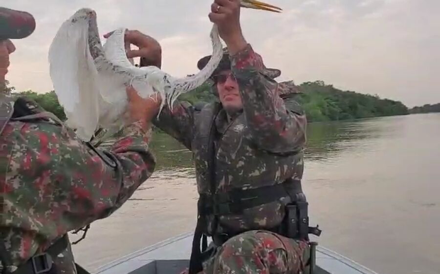 PMA resgata garça presa em anzol de galho no rio Taquari em Coxim