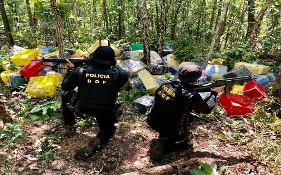 Polícias de Mato Grosso do Sul apreenderam quase 530 toneladas de drogas de janeiro a agosto