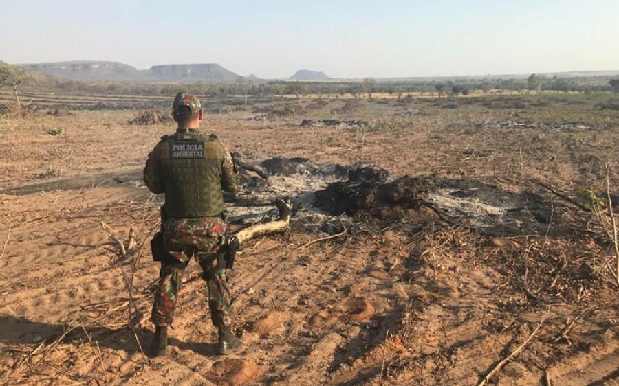PMA autua empreiteiro por incêndios em restos de vegetação em São Gabriel