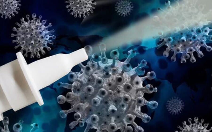 Covid-19: spray nasal feito no Brasil pode estar disponível até 2022