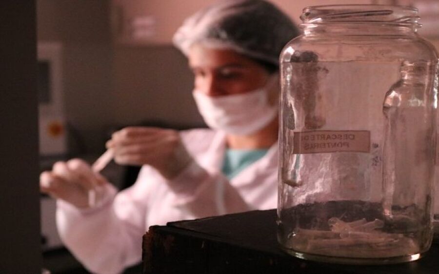 IALF realiza nesta quinta-feira mutirão para coletar DNA de 350 presos condenados pela Justiça