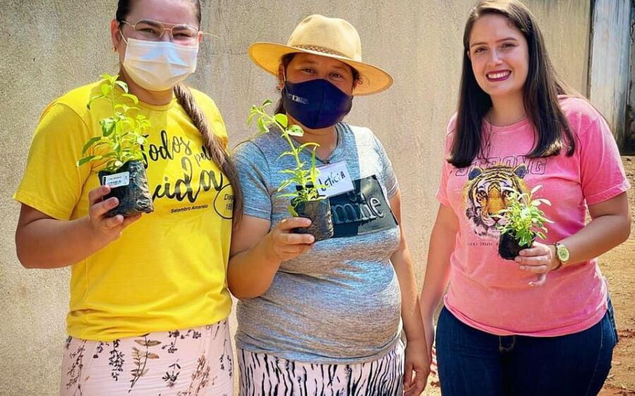 CAPS realiza conclusão do curso  de cultivo de plantas medicinais