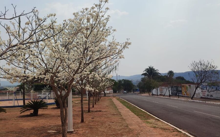 Calorão deve continuar durante a semana em Coxim, podendo atingir máxima de 45ºC