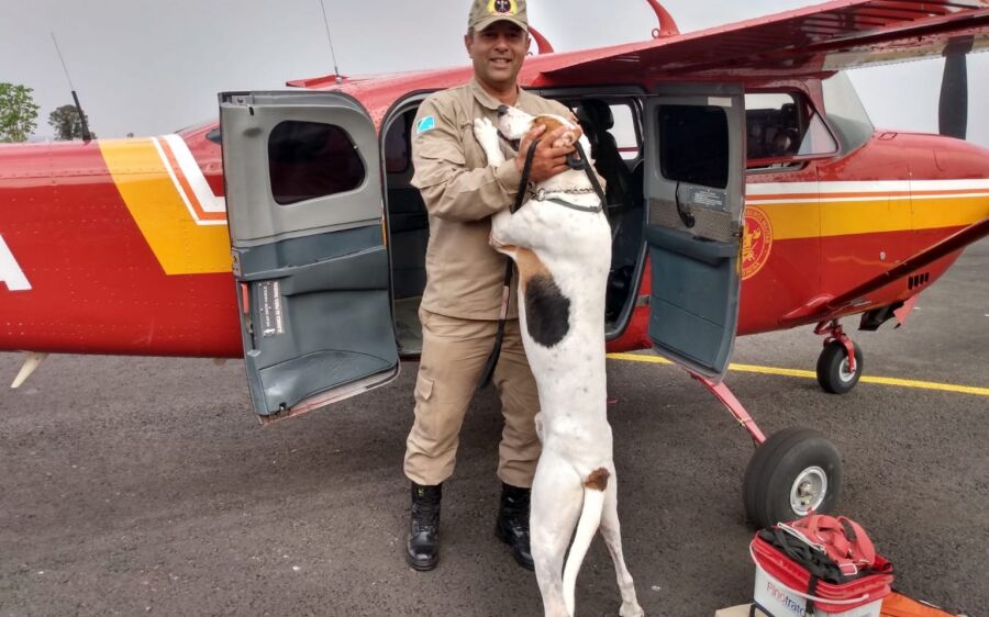 Bombeiros intensificam buscas por trabalhador que está desaparecido há uma semana no Pantanal