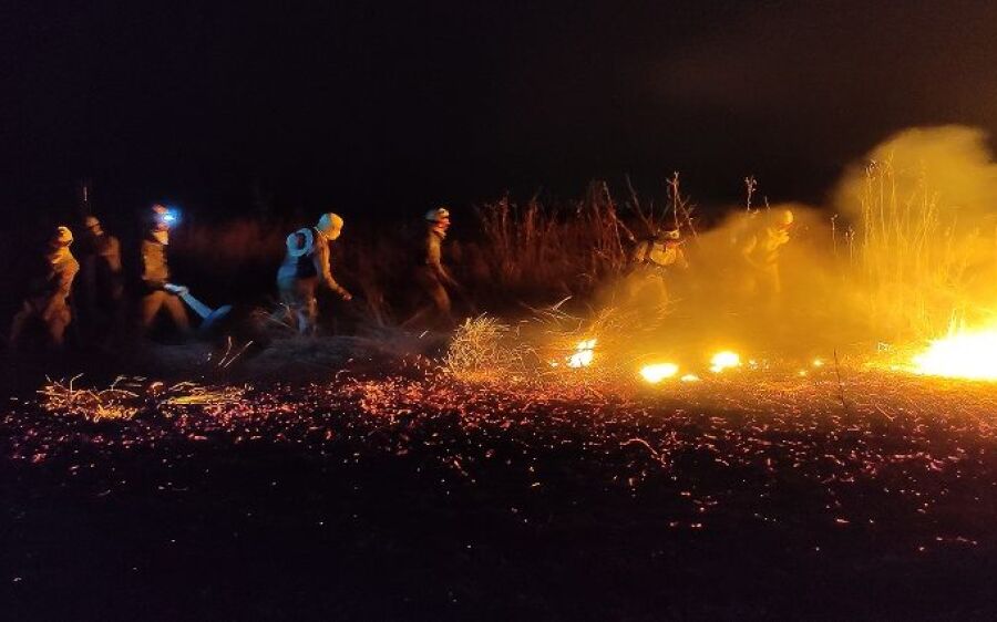 Pantaneiros destacam efetividade do Estado no combate aos incêndios florestais