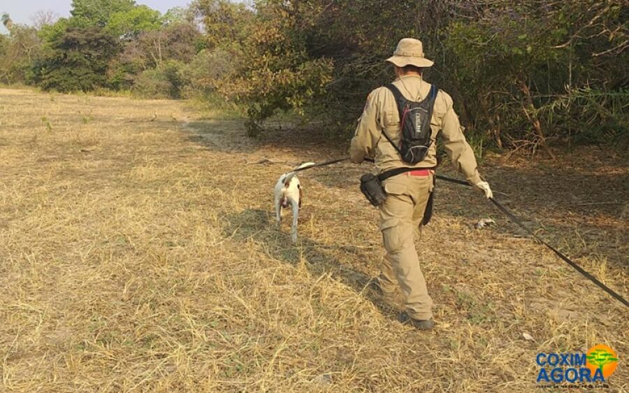 Bombeiros encerram buscas por trabalhador desaparecido no Pantanal