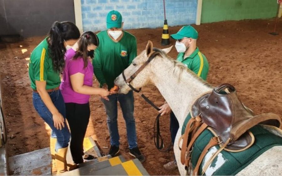 Imunização avançada permite retomada das aulas de Equoterapia da PMMS em todo Estado