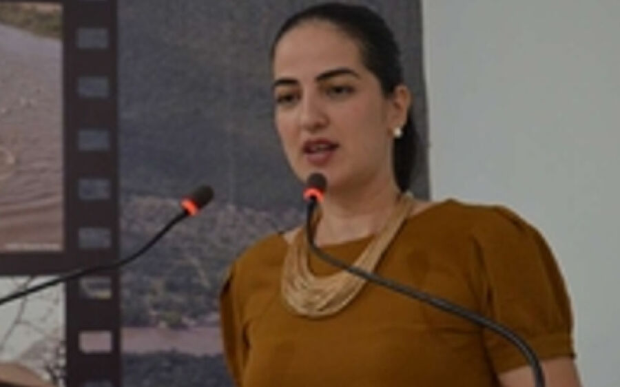 Projeto de Adriana Nabhan em prol das Mulheres vítimas de violência é aprovado por unanimidade