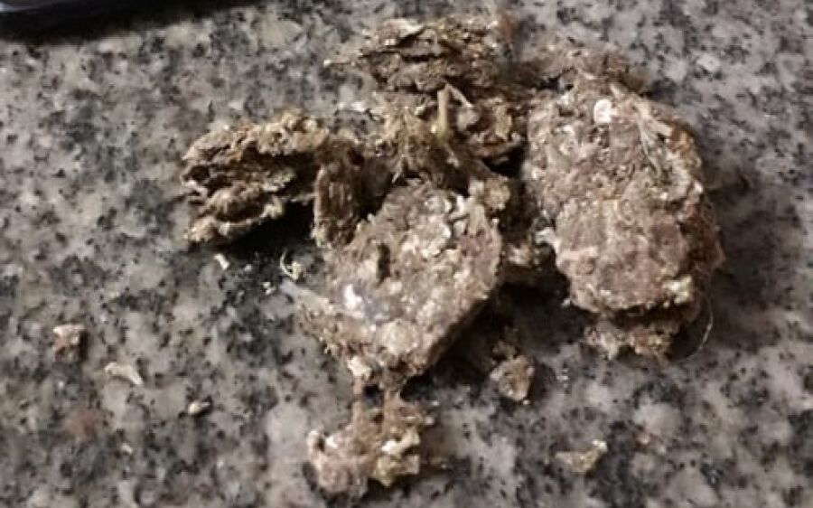 Polícia Militar apreende adolescente com maconha em Coxim