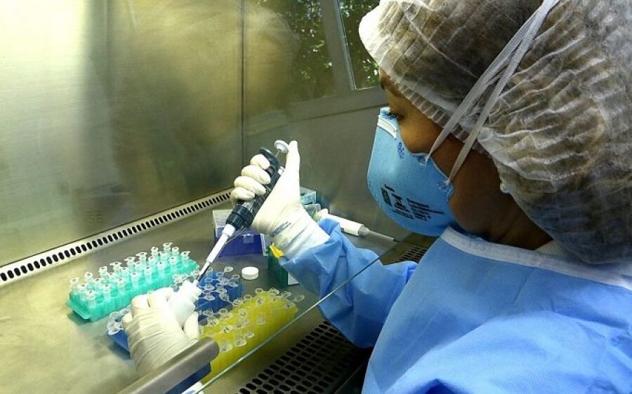 Mapeamento genômico aponta que P1 segue predominante em MS; Delta chega a menos de 2%