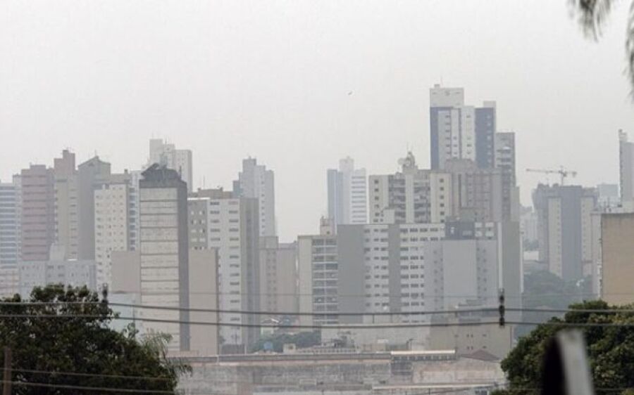 MS é signatário de carta que pede a regulamentação do mercado de carbono no Brasil