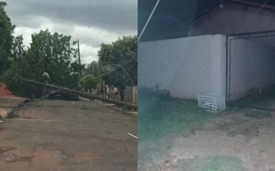 Enrolados em árvores ou caídos em portões: População corre risco com fios energizados nas ruas 