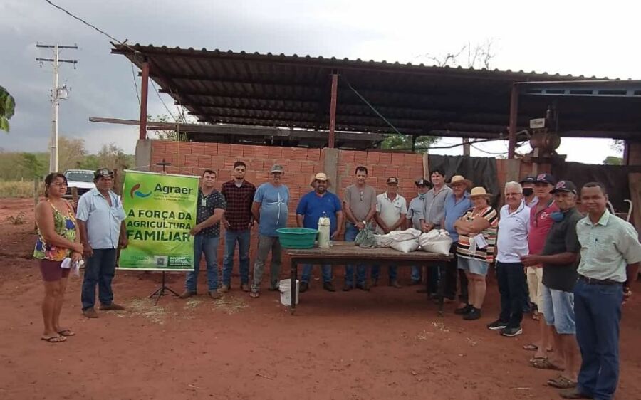 Utilização da cultura de mandioca é destaque no Dia de Campo