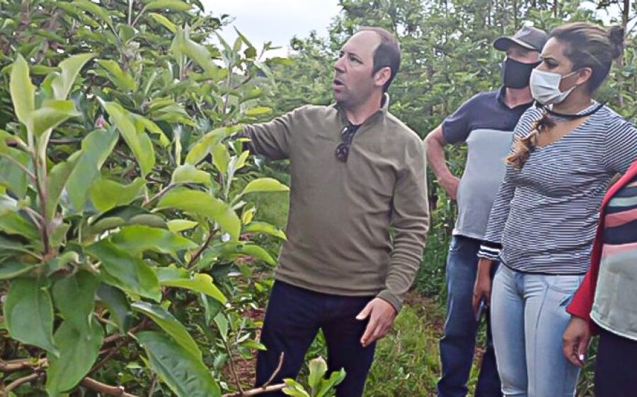 Funtrab está com 655 vagas para indígenas interessados em trabalhar em lavouras de maçã em SC e RS