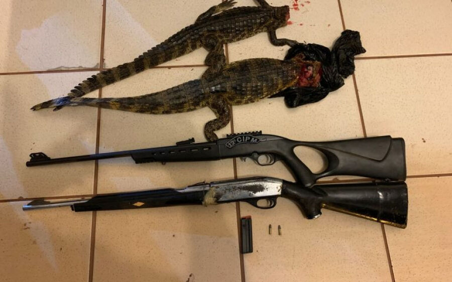 Caçador com três jacarés abatidos, armas e munição é preso pela Polícia Militar de Rio Negro