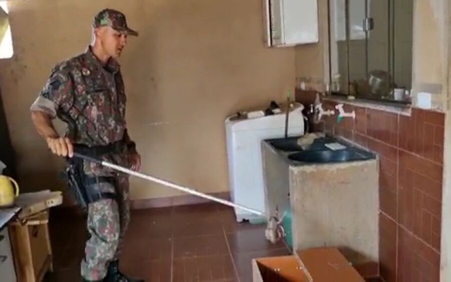 PMA captura jiboia em telhado de residência em São Gabriel