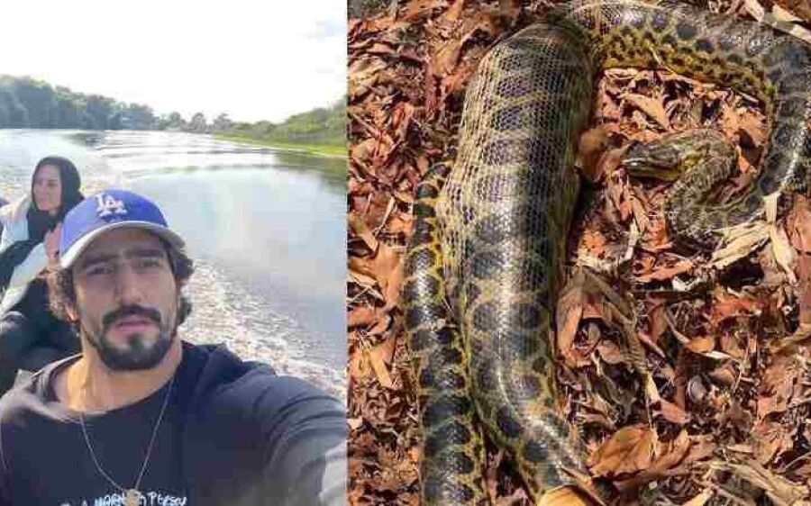 Ator da Globo é surpreendido por sucuri no Pantanal de MS