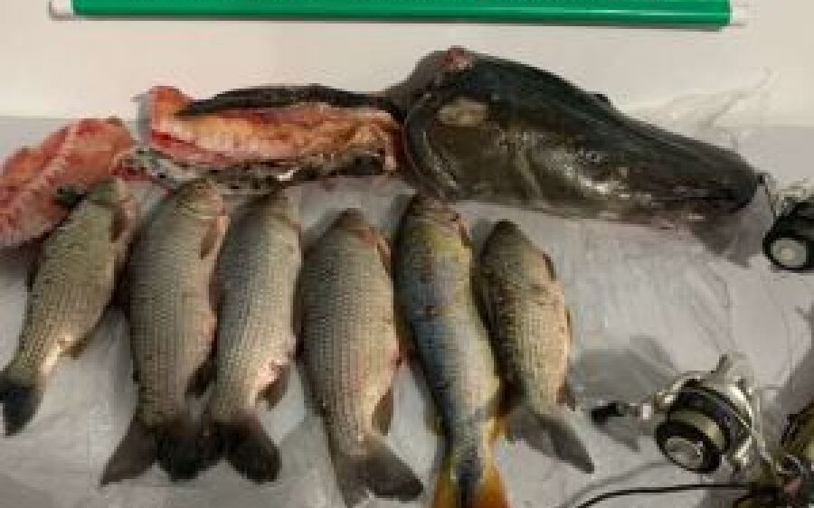Pescador é preso e autuado em R$ 2,3 mil por pesca predatória
