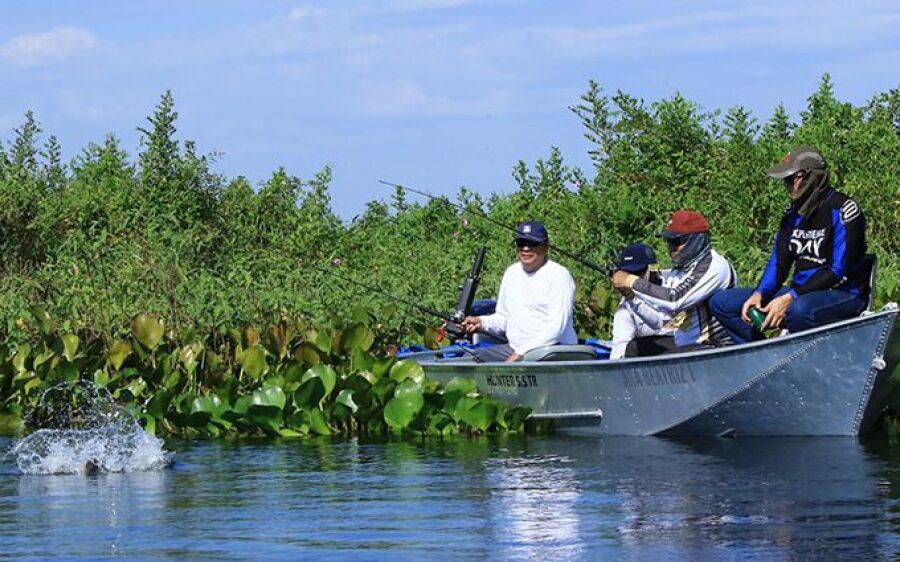 É a última semana para pesca nos rios de Mato Grosso do Sul